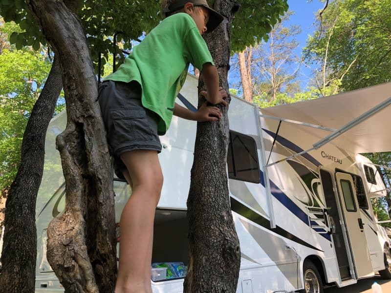 boy climbing tree in which branches help shade rv