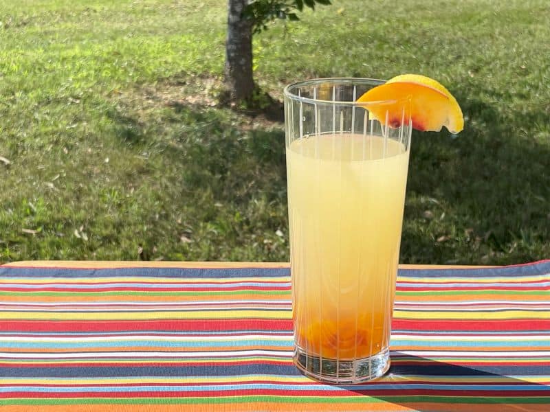 glass of peach lemonade on striped cloth outdoors by tree