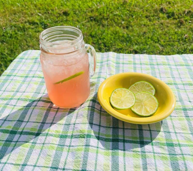 watermelon limeade on checked cloth outside on grass